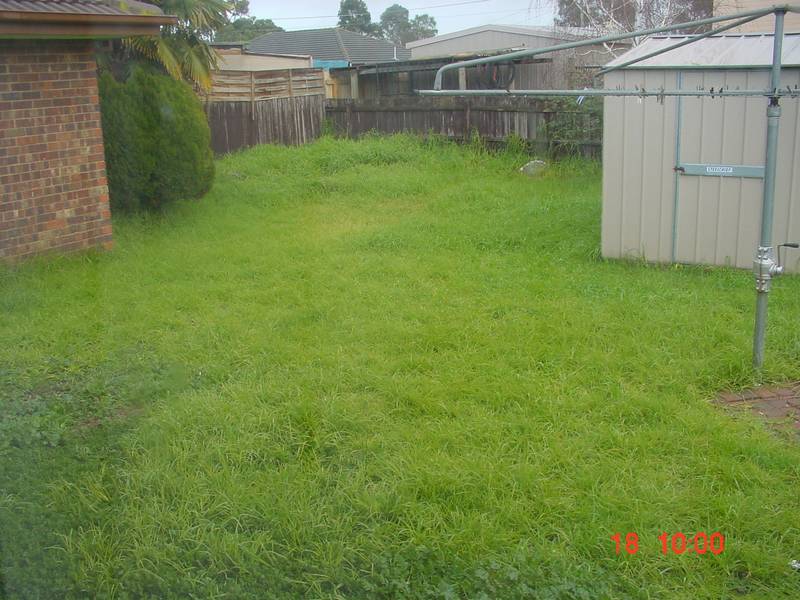 3 Bedroom Home - UNDER APPLICATION Picture