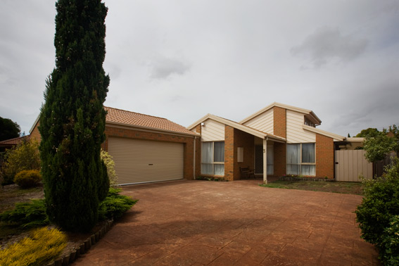 Let Me Entertain You! Picture 1