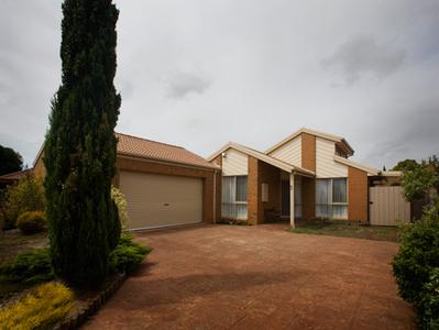 Let Me Entertain You! Picture