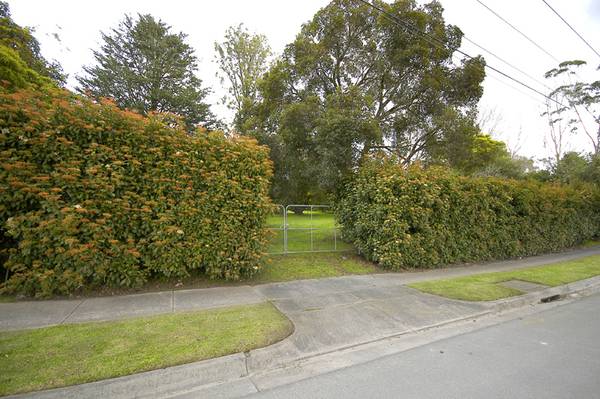 Your Dream Has Arrived! Picture