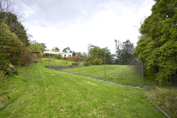 Your Dream Has Arrived! Picture