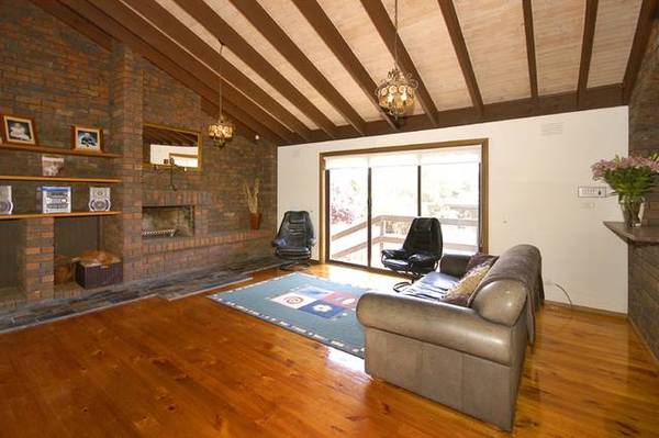 The Great Entertainer Picture