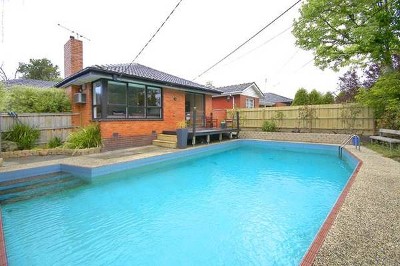 Something Special Picture