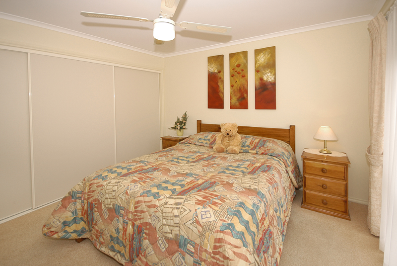 Shining and Central Picture 3