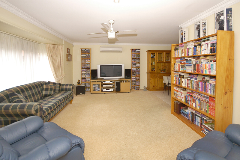 Shining and Central Picture 2