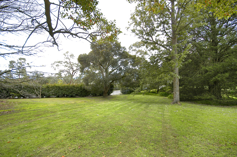 Prestigious Land In The Golden Mile Picture 1