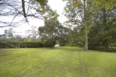 Prestigious Land In The Golden Mile Picture