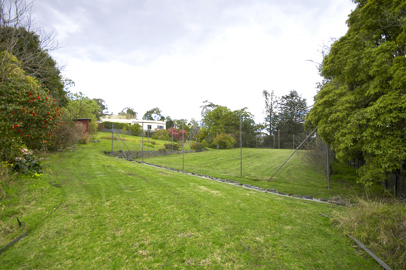 Prestigious Land In The Golden Mile Picture 2