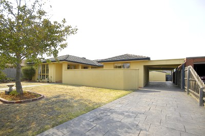 Picture Perfect! Picture