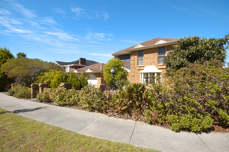 All The Family Essentials Picture 2