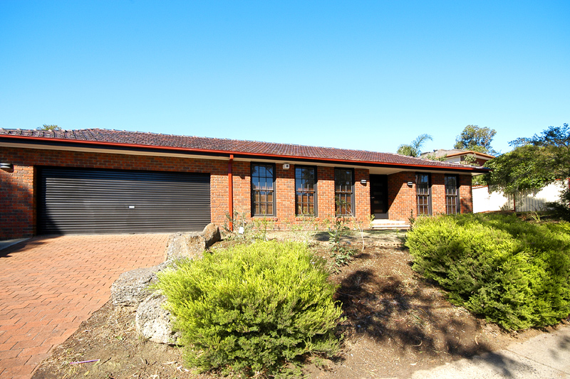 Stand Out From The Crowd! Picture 2