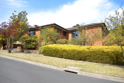 Your Search Is Over! Picture