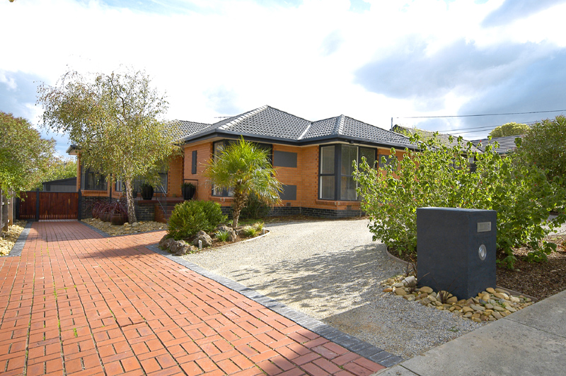 Something Special Picture 1