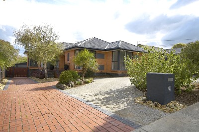 Something Special Picture