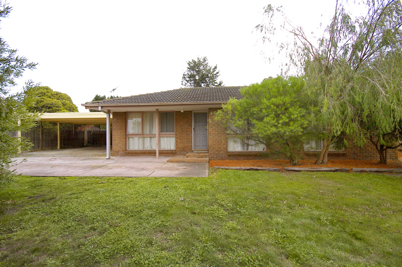 First Home Buyer/Investor Picture 1