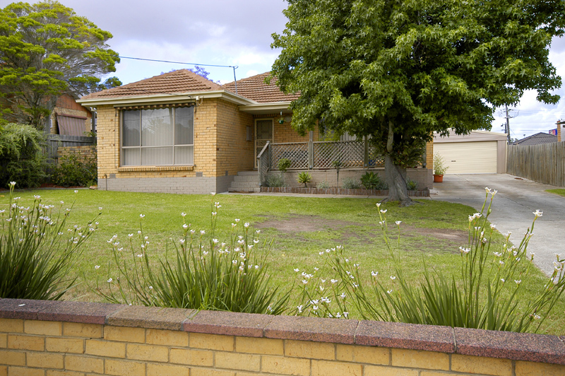 YOUR FUTURE IS HERE NOW! Picture 1