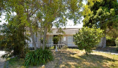 Can't hardly wait! Picture