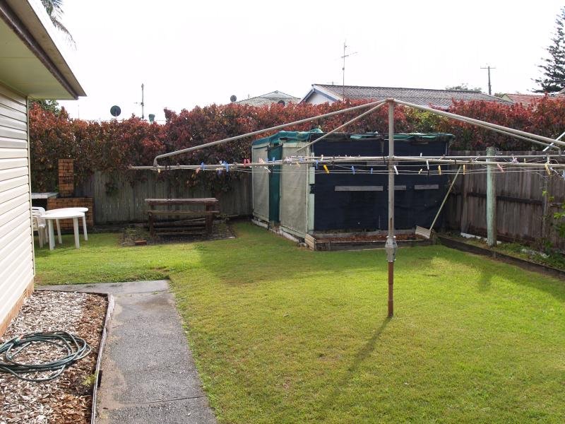 SHARKS END Picture 3