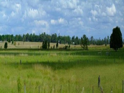 Prime Elevated Cattle Property Picture