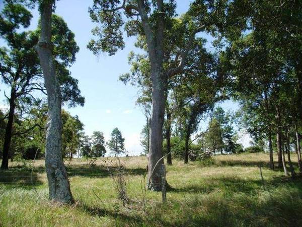 Prime Elevated Cattle Property Picture 2