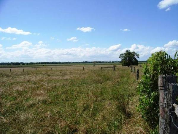 Prime Elevated Cattle Property Picture 3