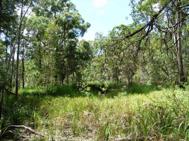 Pristine Acres in Scenic Location close to Coast. Picture 2