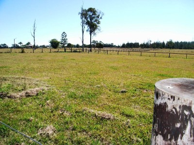 JUST LOOK AT THE PRICE!!! Picture