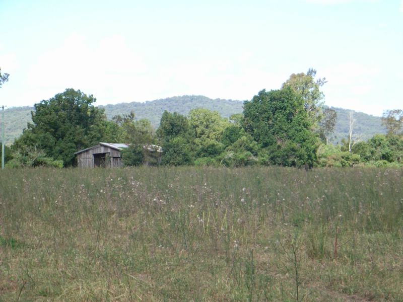 FERTILE GRAZING Picture 2