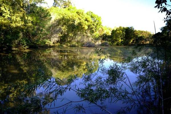 DELIGHTFUL COTTAGE ON COASTAL ACREAGE WITH PRIVATE SPRING FED BILLABONG Picture