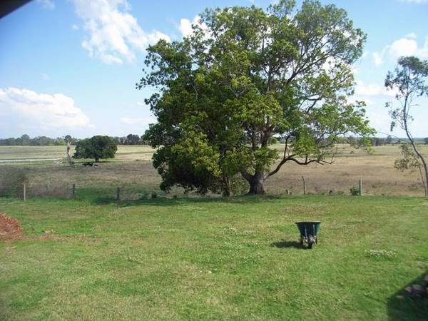 Fresh Timber Charm - Serene Rural Outlook - Double block Picture