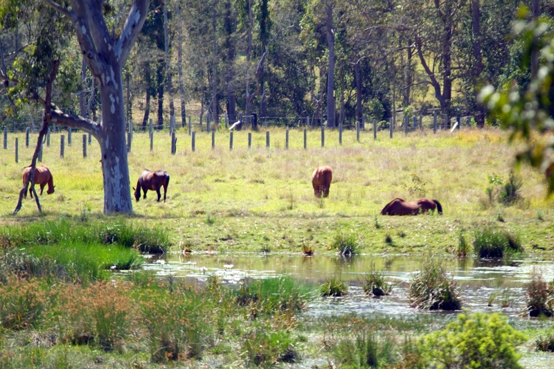 VENDOR HAS INSTRUCTED A GENUINE SALE!!! Picture 3