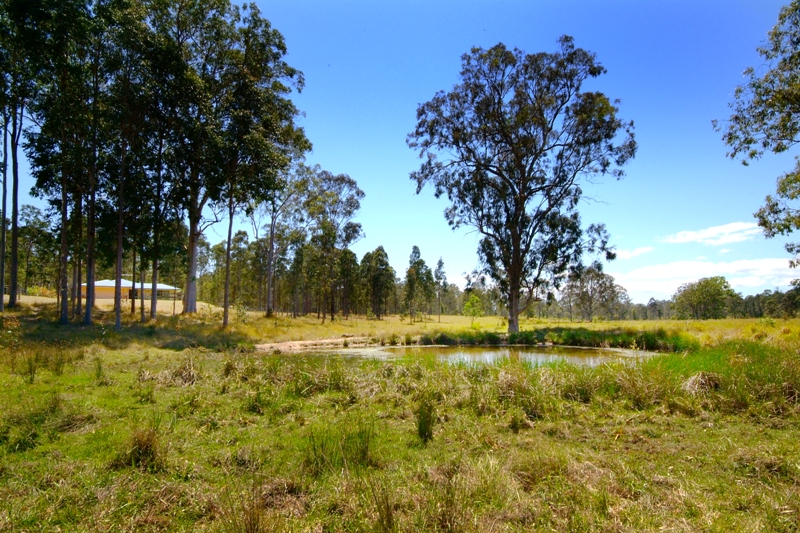 VENDOR HAS INSTRUCTED A GENUINE SALE!!! Picture 1