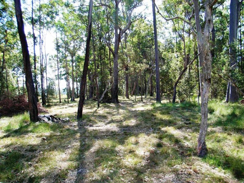 Coastal National Park Acreage Retreat Picture 1