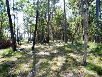 Coastal National Park Acreage Retreat Picture