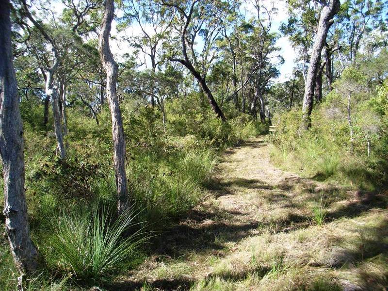 Coastal National Park Acreage Retreat Picture 3