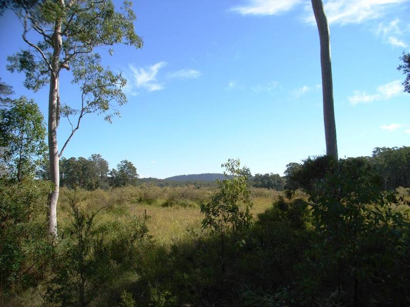Coastal National Park Acreage Retreat Picture 2