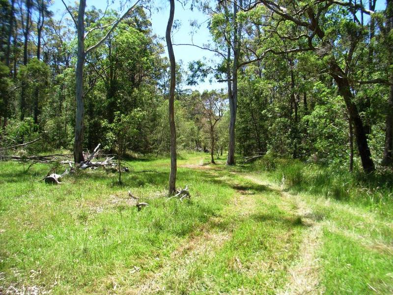 Large Bush Acreage - Close To The Beach Picture 3