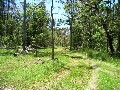 Large Bush Acreage - Close To The Beach Picture