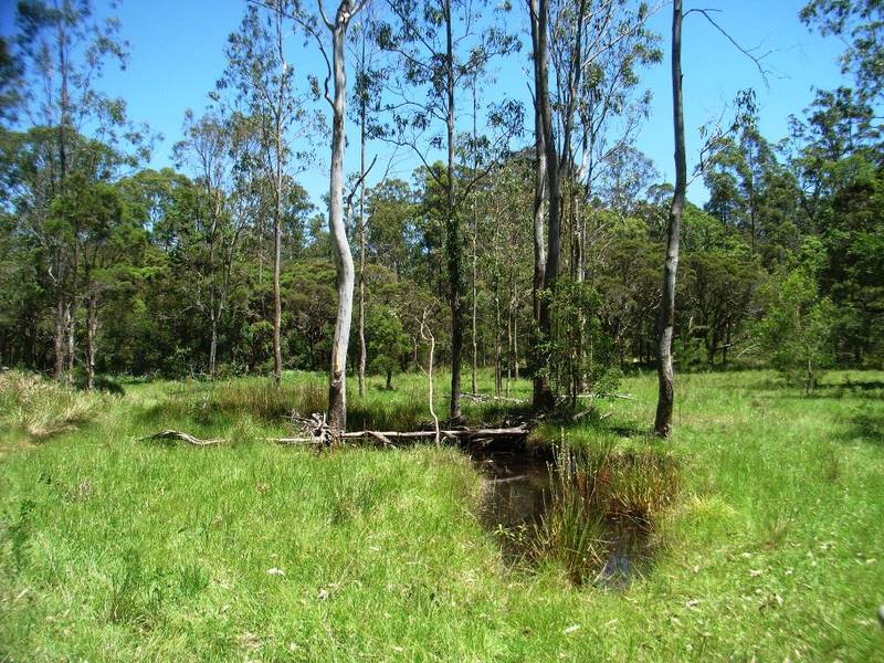 Large Bush Acreage - Close To The Beach Picture 1