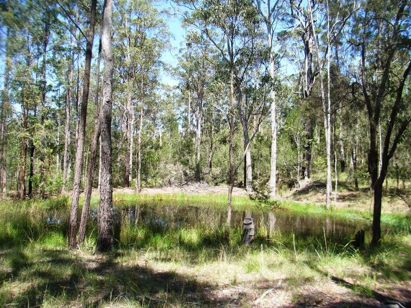 Large Bush Acreage - Close To The Beach Picture 2