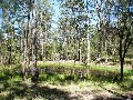 Large Bush Acreage - Close To The Beach Picture