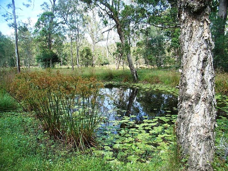 'STOKES WATERHOLE' can now be yours. Picture 2