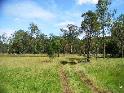 'STOKES WATERHOLE' can now be yours. Picture