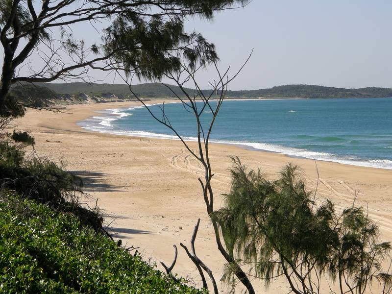 FOR RENT - WOOLI Picture FOR RENT - WOOLI Picture