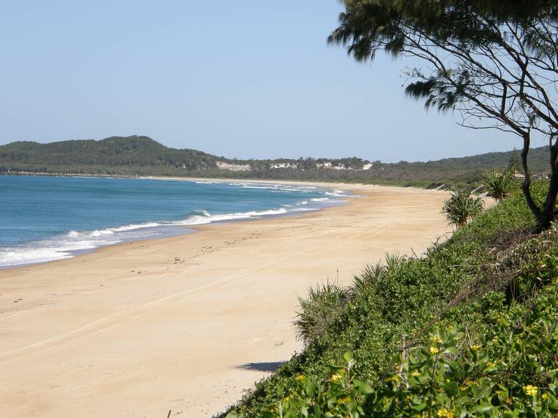 FOR RENT - WOOLI Picture FOR RENT - WOOLI Picture