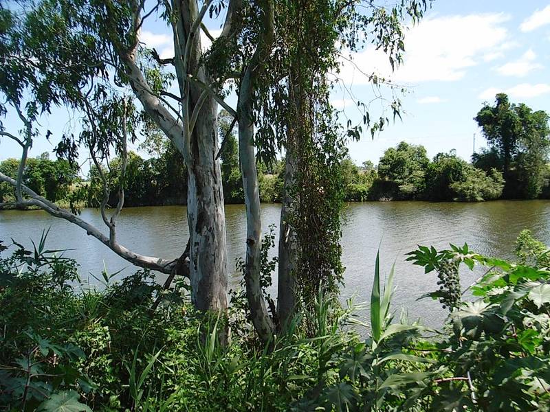 AFFORDABLE COLDSTREAM RIVERFRONT FARM Picture 2