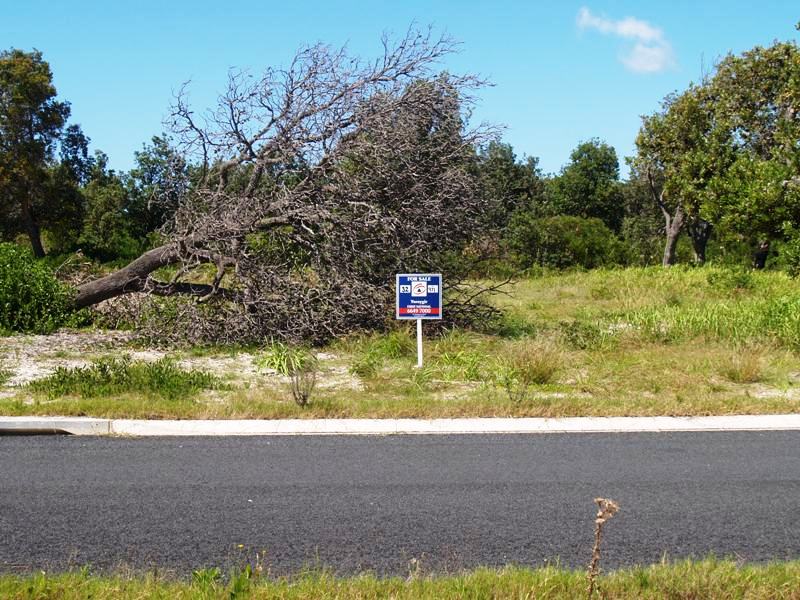 BEACHSIDE BLANK CANVAS Picture 1