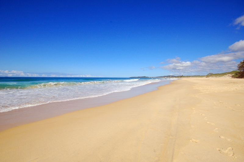 BEACHSIDE BLANK CANVAS Picture 2