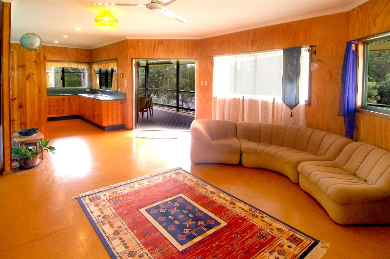 Tree-tops......a bird watches paradise! Picture 2