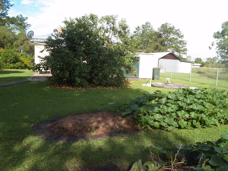 3 bedrooms + sleep-out in TUCABIA Picture 3 bedrooms + sleep-out in TUCABIA Picture